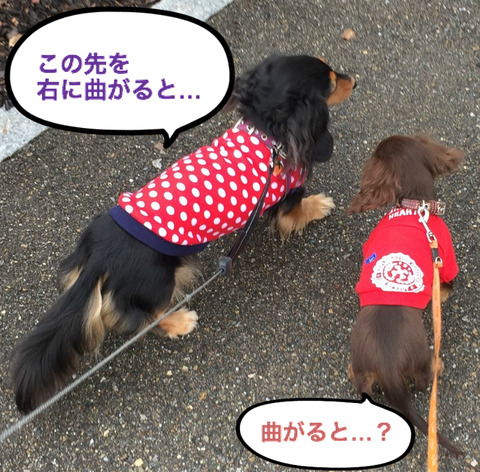 BlogPaint