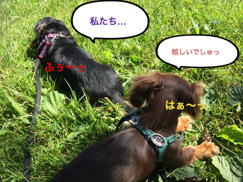 BlogPaint