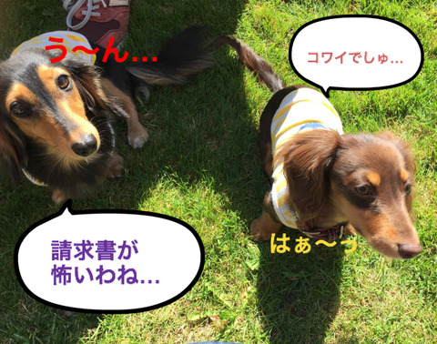 BlogPaint
