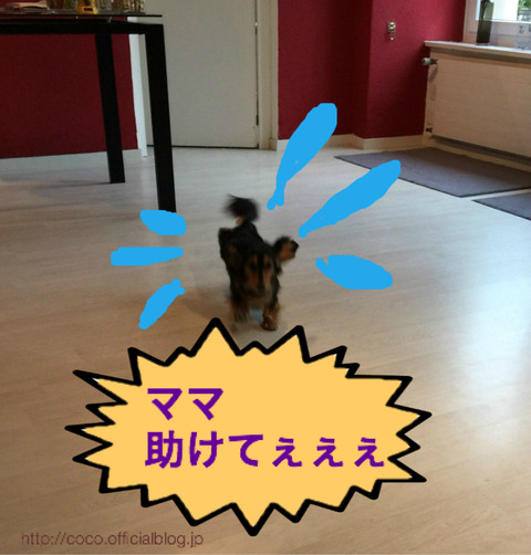 BlogPaint