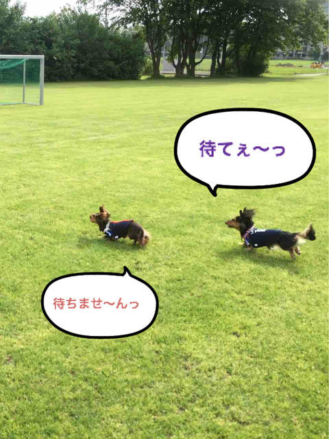 BlogPaint