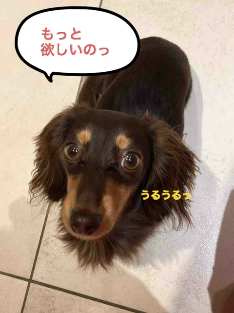 BlogPaint