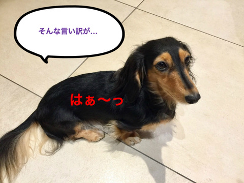 BlogPaint