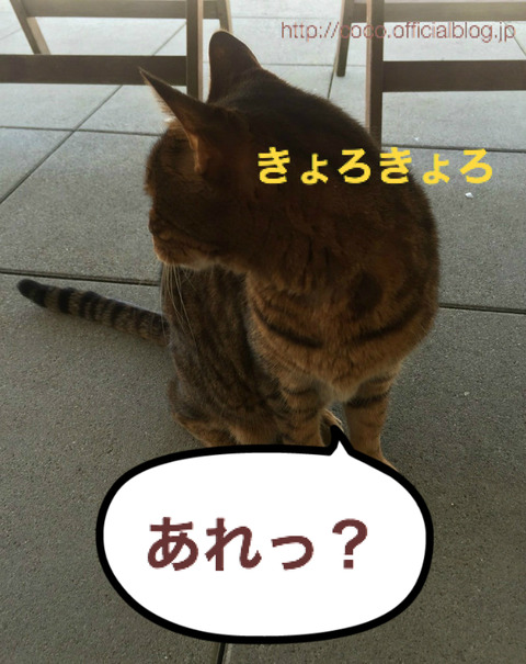 BlogPaint