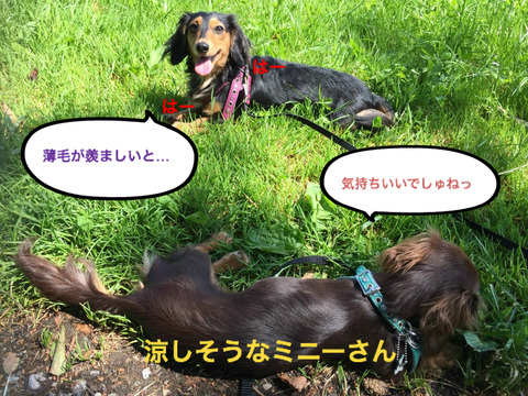 BlogPaint
