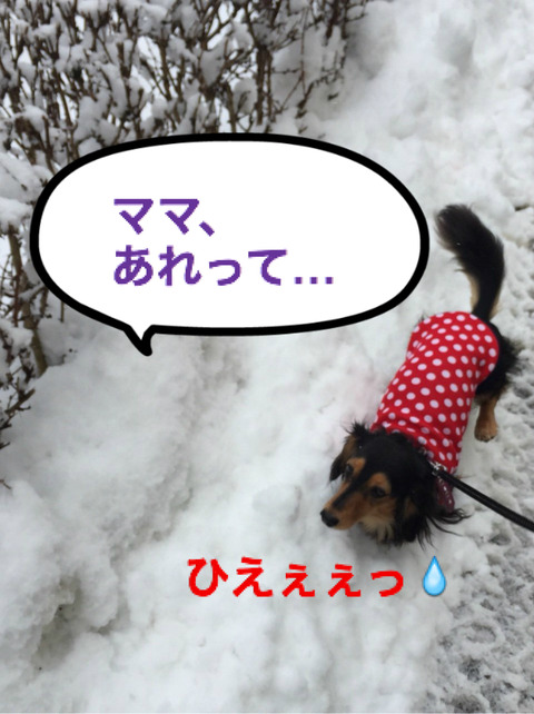 BlogPaint