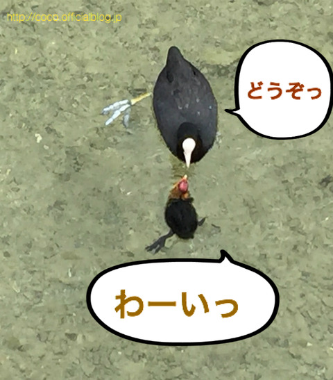 BlogPaint
