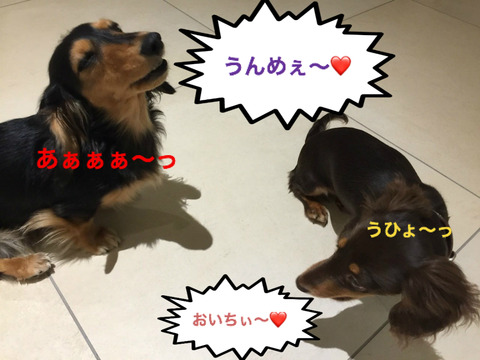 BlogPaint