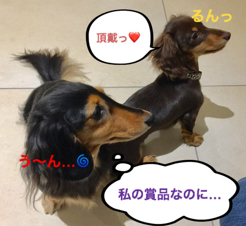 BlogPaint