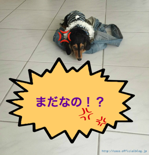 BlogPaint