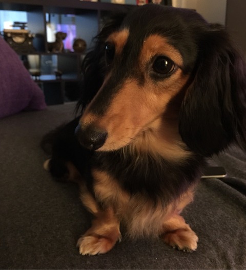 2016-10-03-01-28-13
