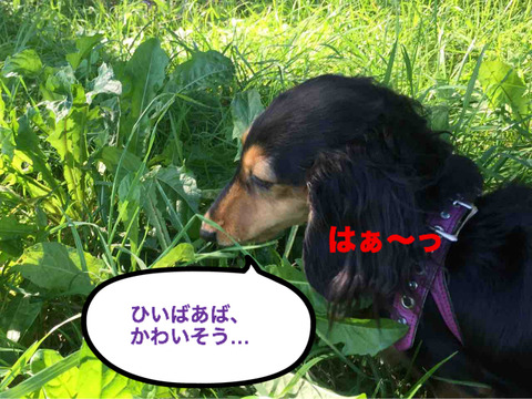 BlogPaint