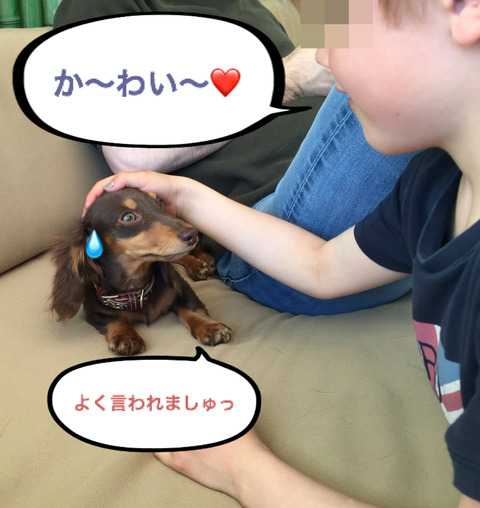 BlogPaint