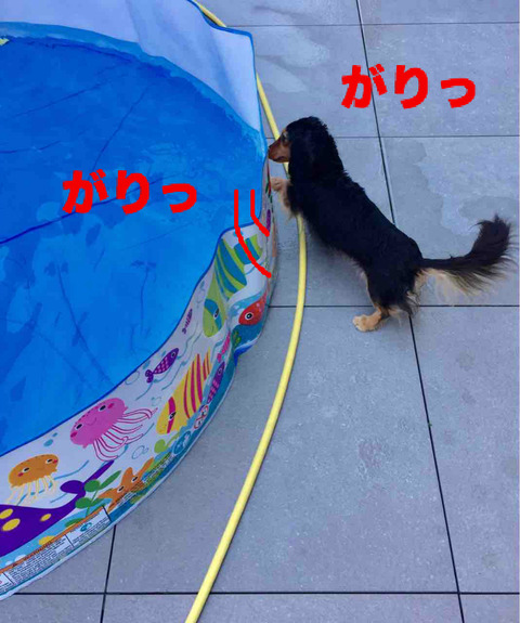 BlogPaint
