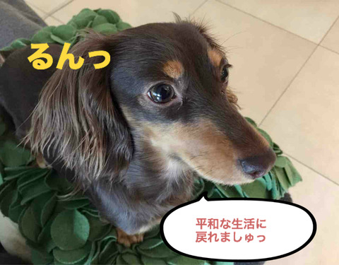 BlogPaint