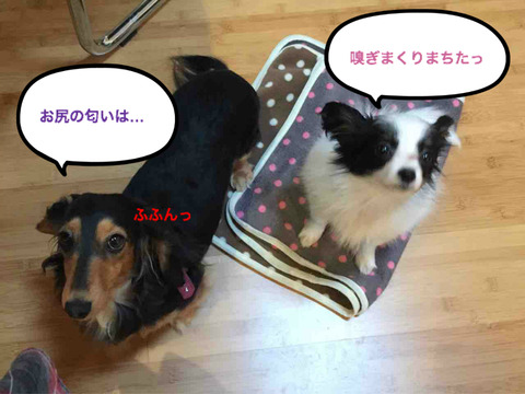 BlogPaint