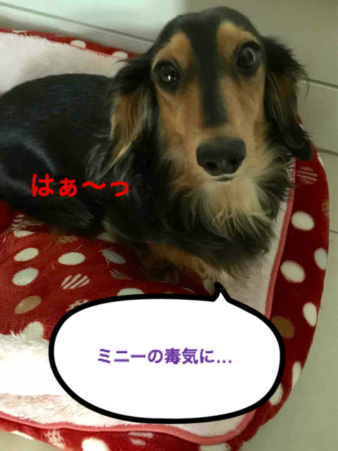 BlogPaint