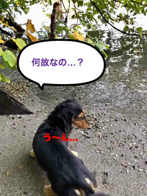 BlogPaint