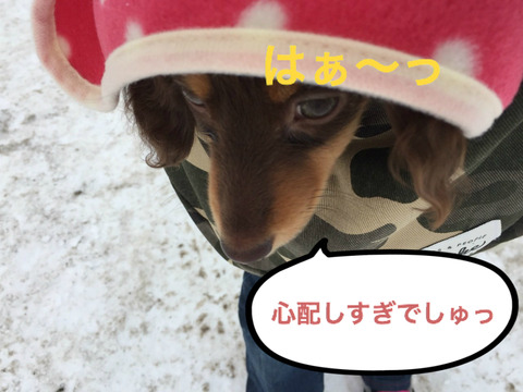 BlogPaint