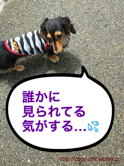 BlogPaint