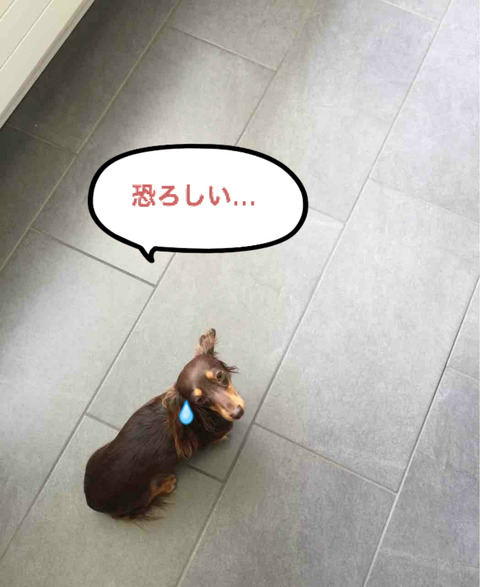 BlogPaint