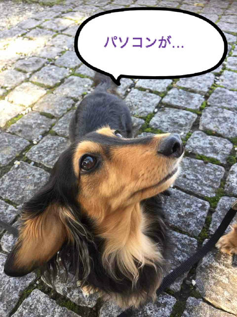 BlogPaint