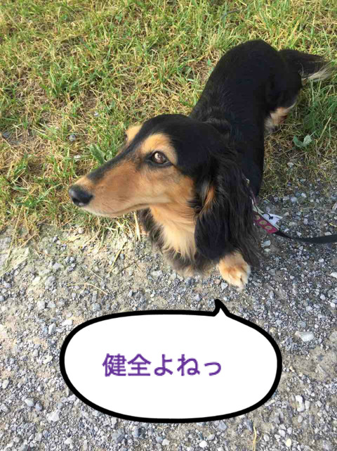 BlogPaint