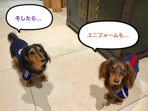 BlogPaint