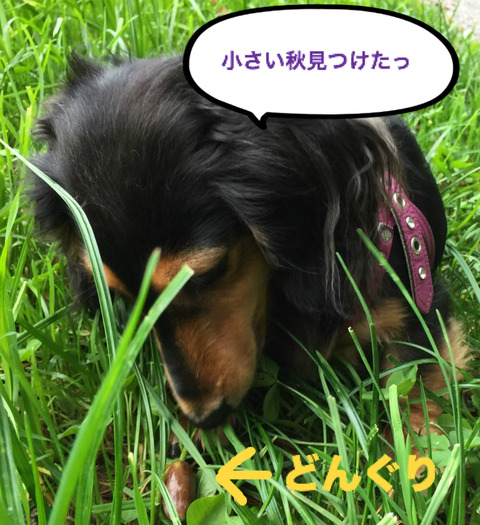 BlogPaint