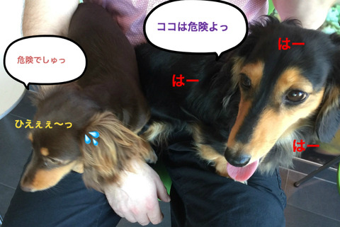 BlogPaint