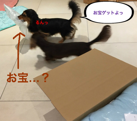 BlogPaint