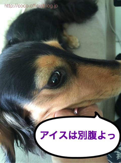 BlogPaint