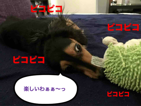 BlogPaint