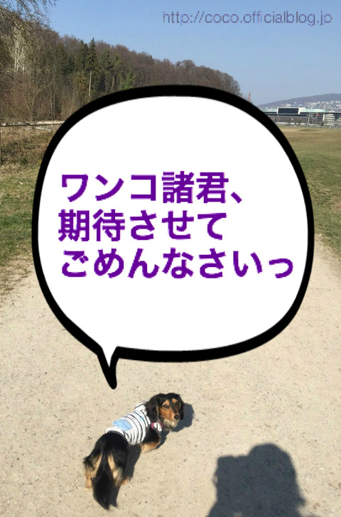 BlogPaint