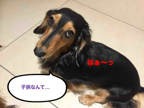 BlogPaint