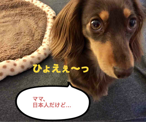 BlogPaint