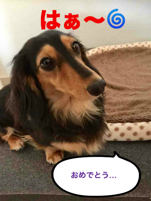 BlogPaint
