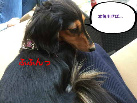 BlogPaint