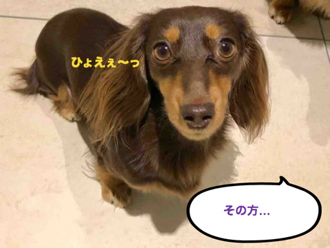 BlogPaint