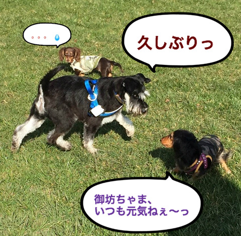 BlogPaint