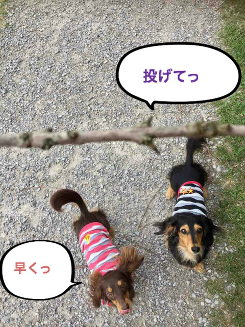 BlogPaint