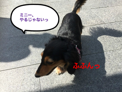 BlogPaint