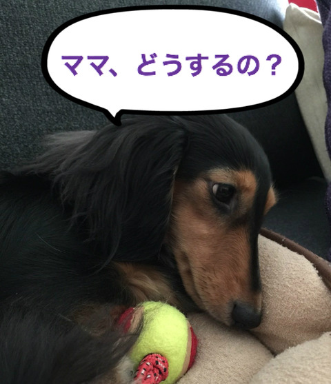 BlogPaint
