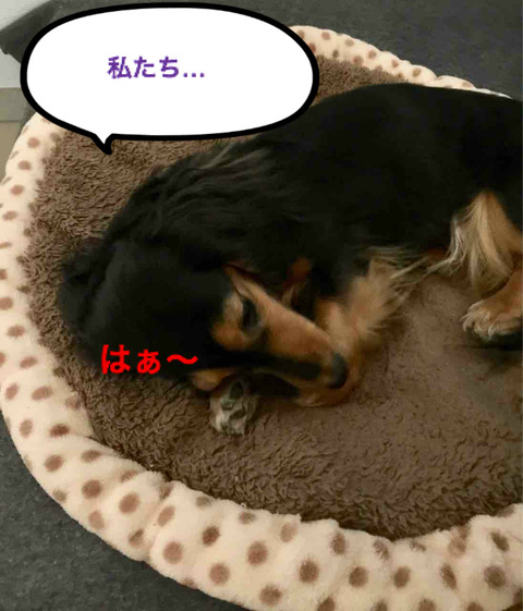 BlogPaint