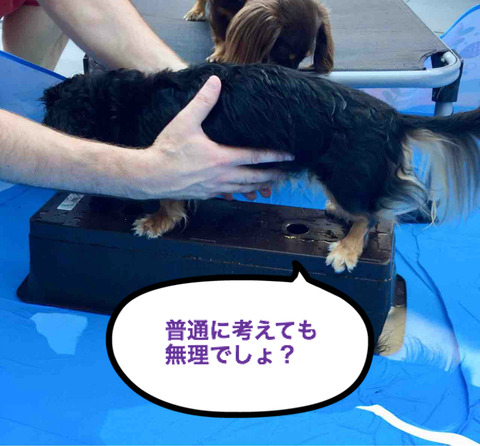 BlogPaint