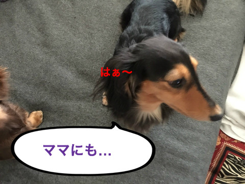 BlogPaint