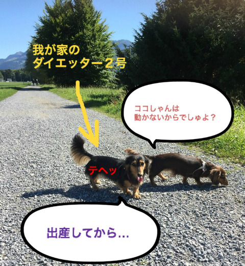 BlogPaint