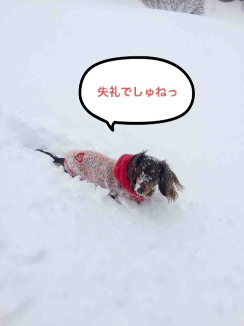 BlogPaint