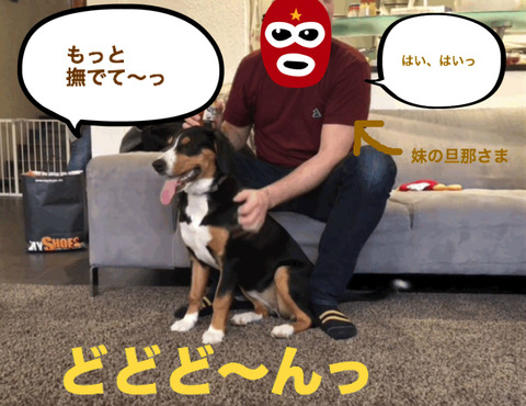 BlogPaint