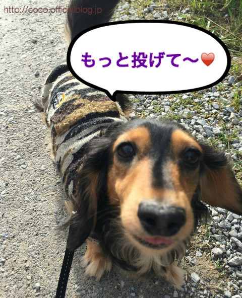 BlogPaint